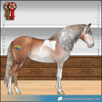 Horse Color:Gray Gold Champagne Tobiano 