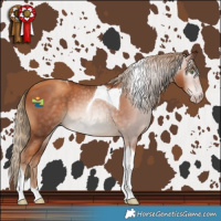 Horse Color:Gray Gold Champagne Tobiano 