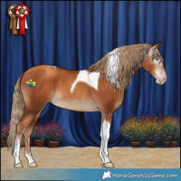 Horse Color:Gray Gold Champagne Tobiano