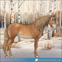 Horse Color:Gray Gold Champagne
