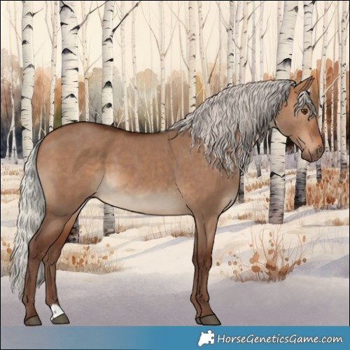 Horse Color:Silver Bay Dun
