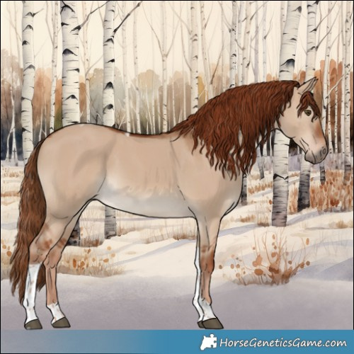 Horse Color:Red Dun Tobiano