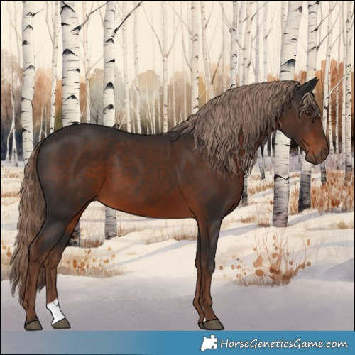 Horse Color:Liver Chestnut 
