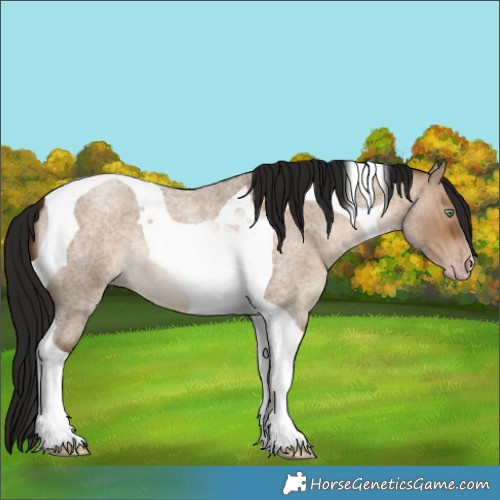 Horse Color:Gray Amber Champagne Roan Dun Tobiano 