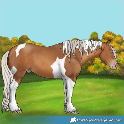 Horse Color:Gray Silver Amber Champagne Tobiano 