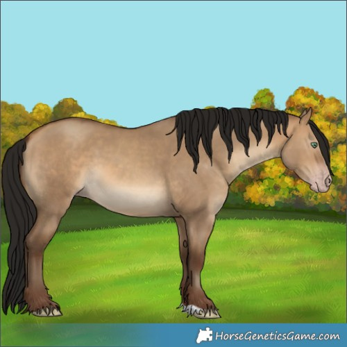 Horse Color:Gray Amber Champagne Dun 