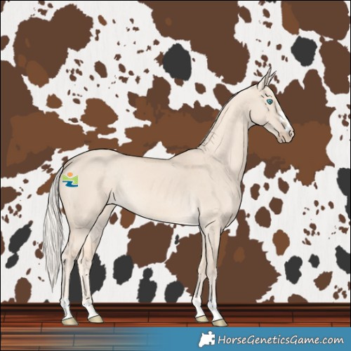 Horse Color:Cremello Dun Rabicano 