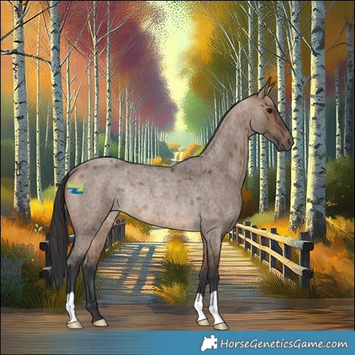 Horse Color:Brown Roan Dun Rabicano 