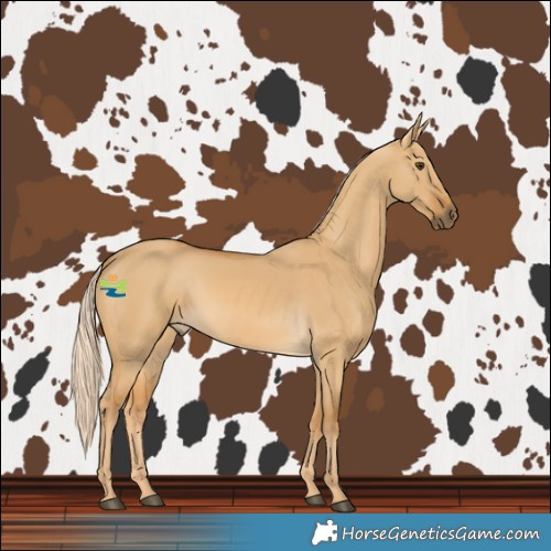 Horse Color:Palomino Dun 