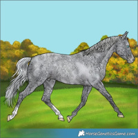 Horse Color:Watercolor Silver Buckskin Ice Roan Pearl Dun