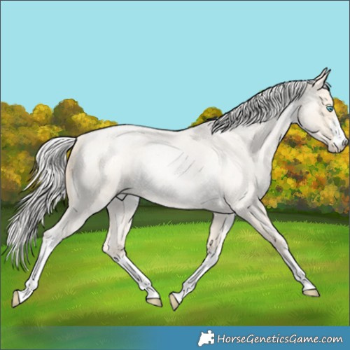 Horse Color:White Spotted Silver Smoky Blue Roan Pearl Rabicano 