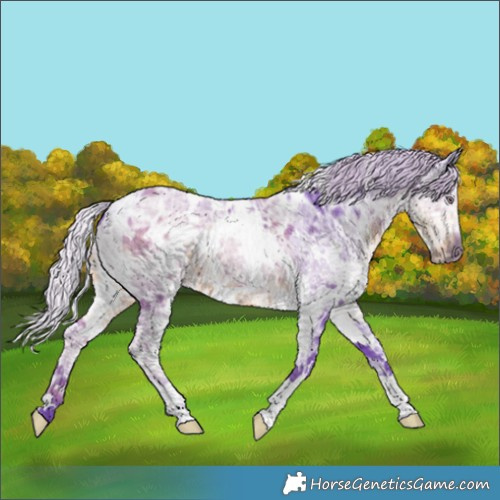 Horse Color:Watercolor White Spotted Chocolate Silver Smoky Black Chinchilla Ice