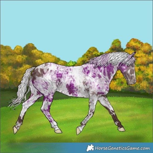 Horse Color:White Spotted Chocolate Silver Smoky Black Chinchilla Ice 