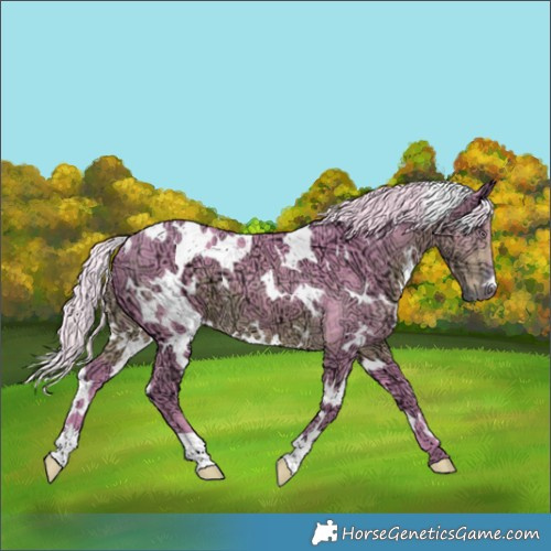 Horse Color:Watercolor White Spotted Chocolate Silver Smoky Black Chinchilla Ice 