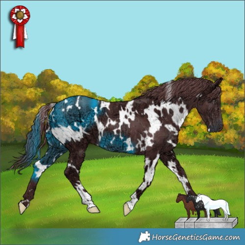 Horse Color:White Spotted Chocolate Smoky Black Chinchilla Ice 