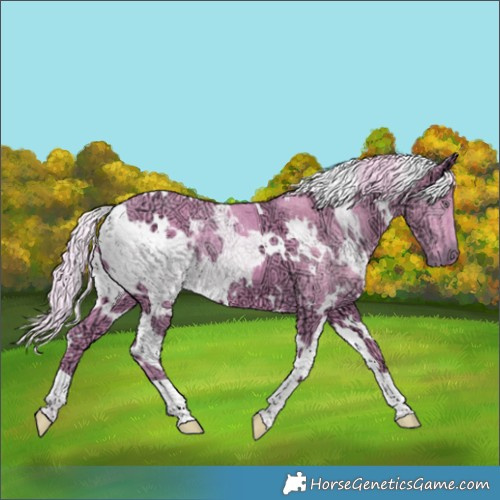 Horse Color:Watercolor White Spotted Chocolate Silver Smoky Black Chinchilla Ice