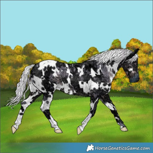 Horse Color:Watercolor White Spotted Chocolate Silver Smoky Black Chinchilla Ice 