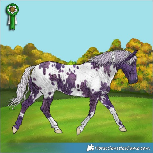 Horse Color:Watercolor White Spotted Chocolate Silver Smoky Black Chinchilla Ice