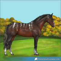 Horse Color:Powder White Liver Chestnut Mushroom