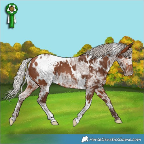Horse Color:White Spotted Silver Brown Ice 
