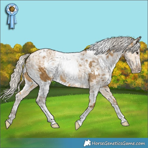 Horse Color:White Spotted Silver Buckskin Ice