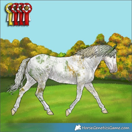 Horse Color:Watercolor White Spotted Chocolate Silver Smoky Black Chinchilla Ice 