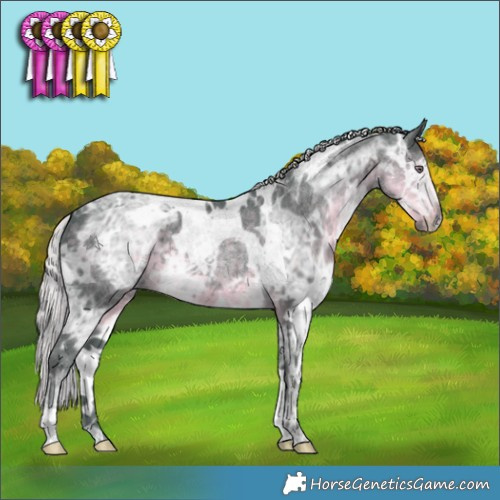 Horse Color:Watercolor White Spotted Chocolate Silver Smoky Black Chinchilla Ice 