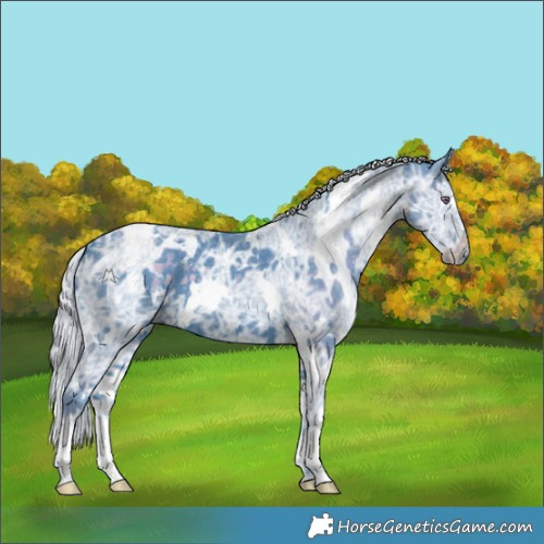 Horse Color:Watercolor White Spotted Chocolate Silver Smoky Black Chinchilla Ice 