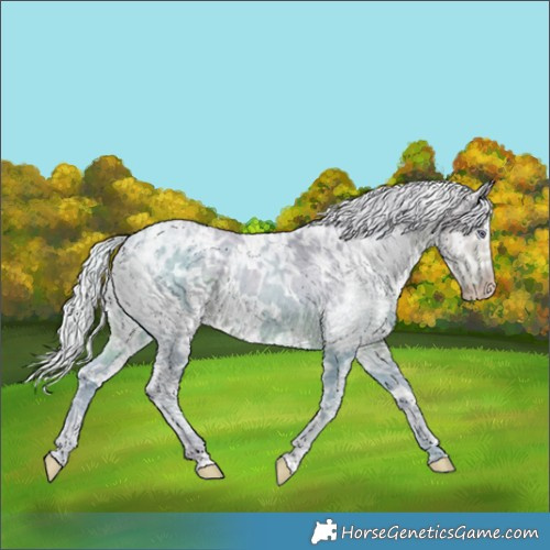 Horse Color:Watercolor White Spotted Chocolate Silver Smoky Creme Chinchilla Ice 