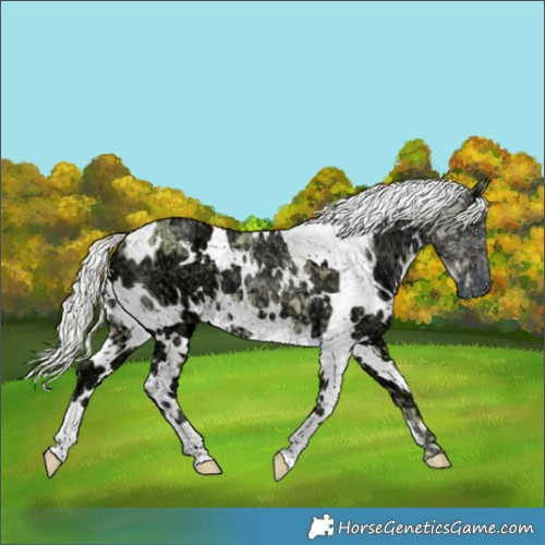 Horse Color:Watercolor White Spotted Chocolate Silver Smoky Creme Chinchilla Ice 