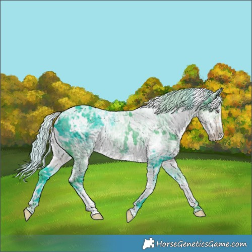 Horse Color:Watercolor White Spotted Chocolate Silver Smoky Black Chinchilla Ice 