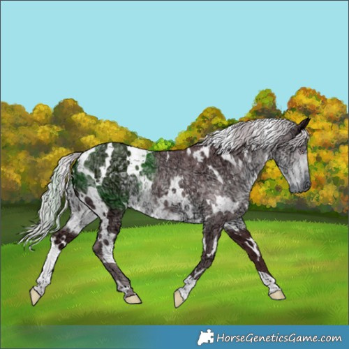 Horse Color:White Spotted Chocolate Silver Smoky Black Chinchilla Ice