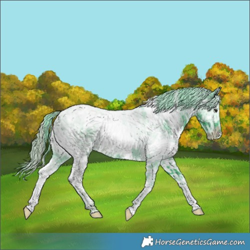 Horse Color:Watercolor White Spotted Chocolate Black Chinchilla Ice