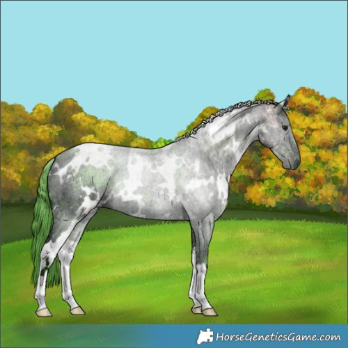 Horse Color:Watercolor White Spotted Chocolate Black Chinchilla Ice 