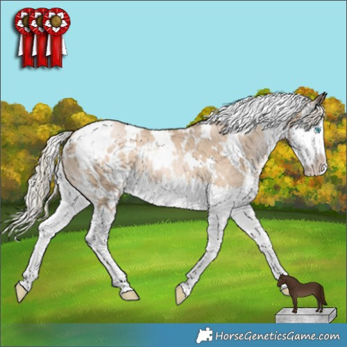 Horse Color:White Spotted Chocolate Palomino Snowdrop Splash Appaloosa 
