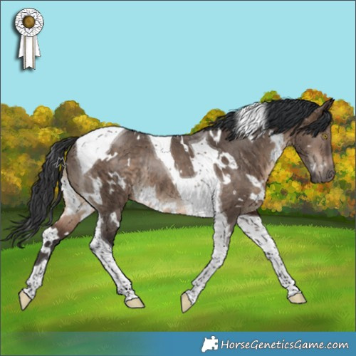 Horse Color:White Spotted Brown Dun Tobiano Rabicano 