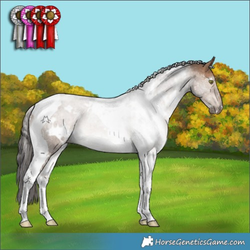 Horse Color:White Spotted Bay Dun Tobiano 