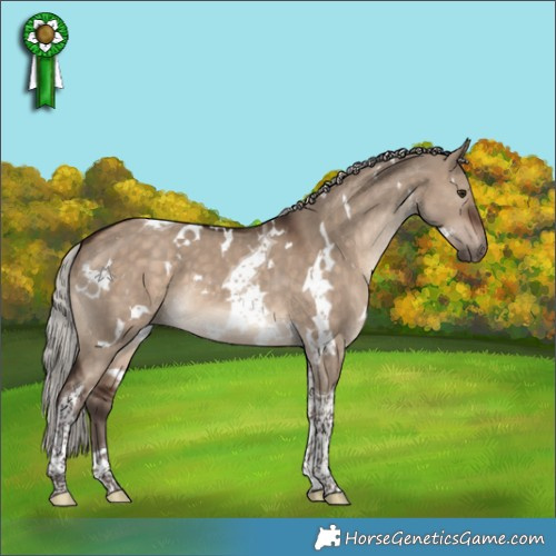 Horse Color:White Spotted Silver Brown Dun Tobiano 