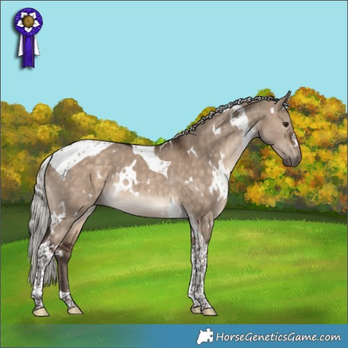 Horse Color:White Spotted Silver Brown Dun Tobiano Rabicano 
