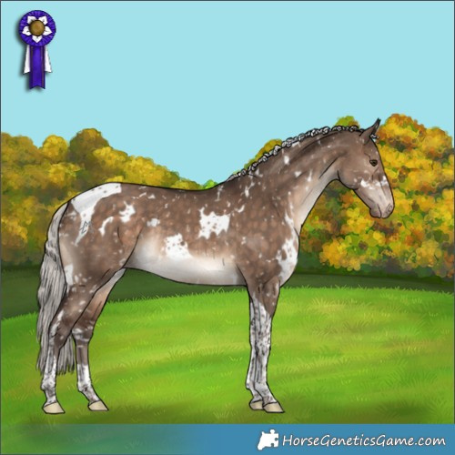 Horse Color:White Spotted Silver Brown Dun Tobiano Appaloosa Rabicano 