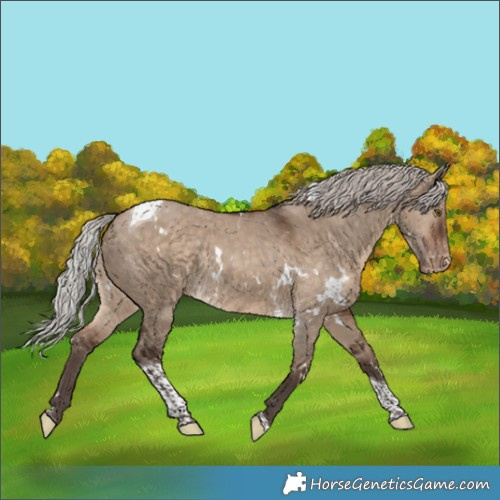 Horse Color:White Spotted Silver Brown Dun Tobiano Appaloosa Rabicano