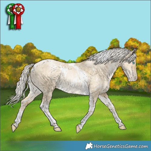 Horse Color:White Spotted Silver Buckskin Pearl Dun Tobiano Appaloosa Rabicano 