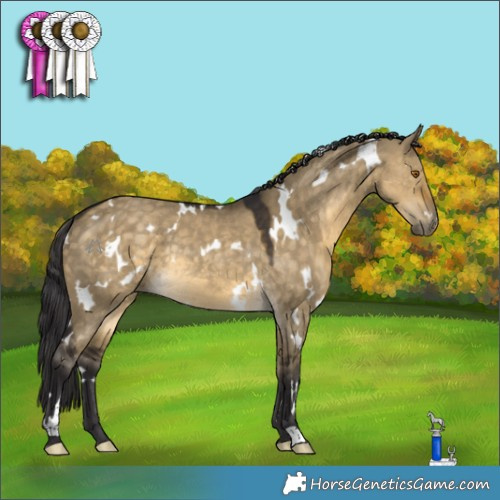 Horse Color:White Spotted Buckskin Dun Rabicano 
