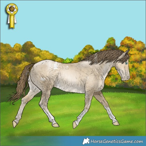 Horse Color:White Spotted Smoky Grullo Pearl Tobiano 