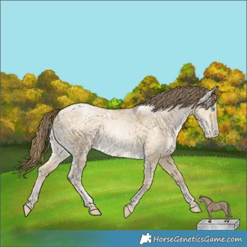 Horse Color:White Spotted Buckskin Pearl Dun Appaloosa 