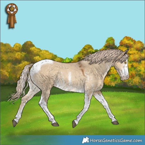 Horse Color:Chocolate Palomino Dun Sabino Tobiano Rabicano 