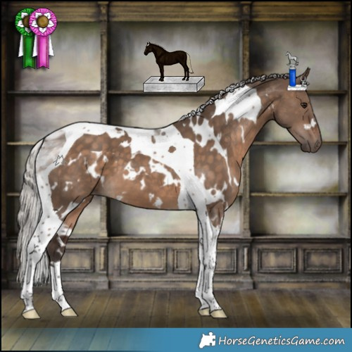 Horse Color:White Spotted Silver Brown Dun Tobiano 