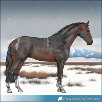 Horse Color:Powder White Brown Merle