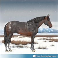 Horse Color:Powder White Brown Merle