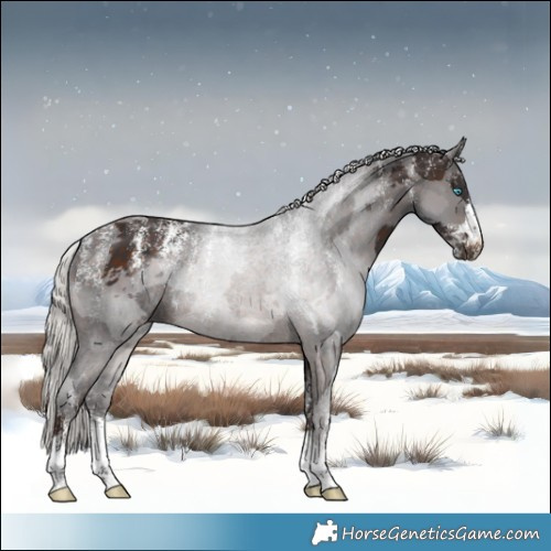 Horse Color:Powder White Silver Brown Merle 